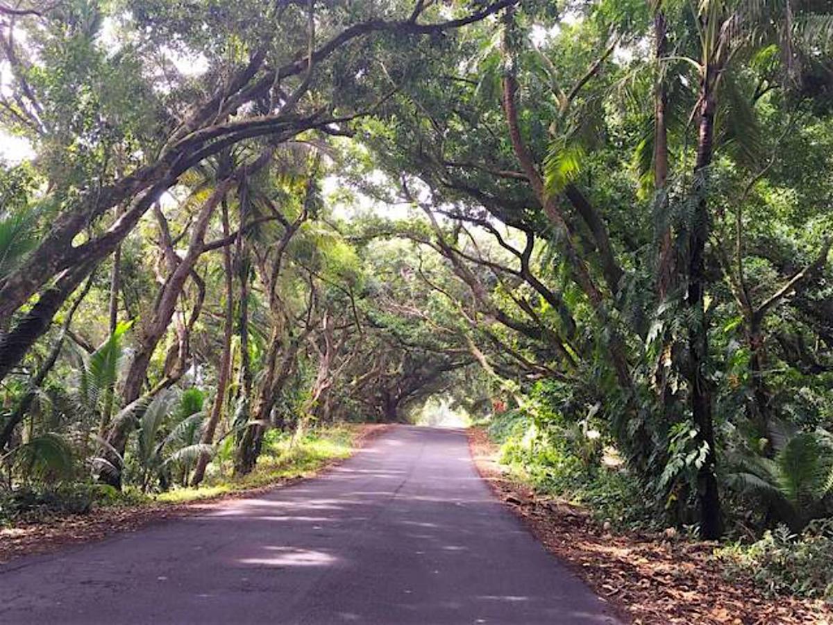 Puna Pod Pahoa 外观 照片